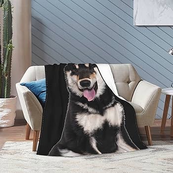 Amazon｜毛布 柴犬 犬柄 黒柴 アニメ 軽量 ブランケット